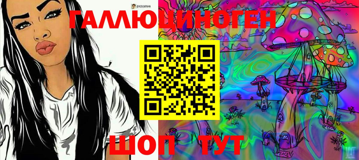Галлюциногенные грибы Psilocybine cubensis  хочу   Менделеевск  Вход с VPN 